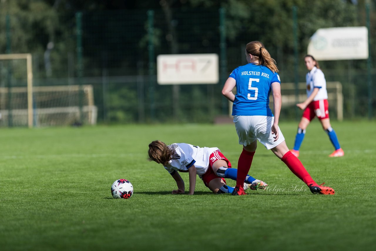 Bild 355 - wBJ Hamburger SV - Holstein Kiel : Ergebnis: 2:0